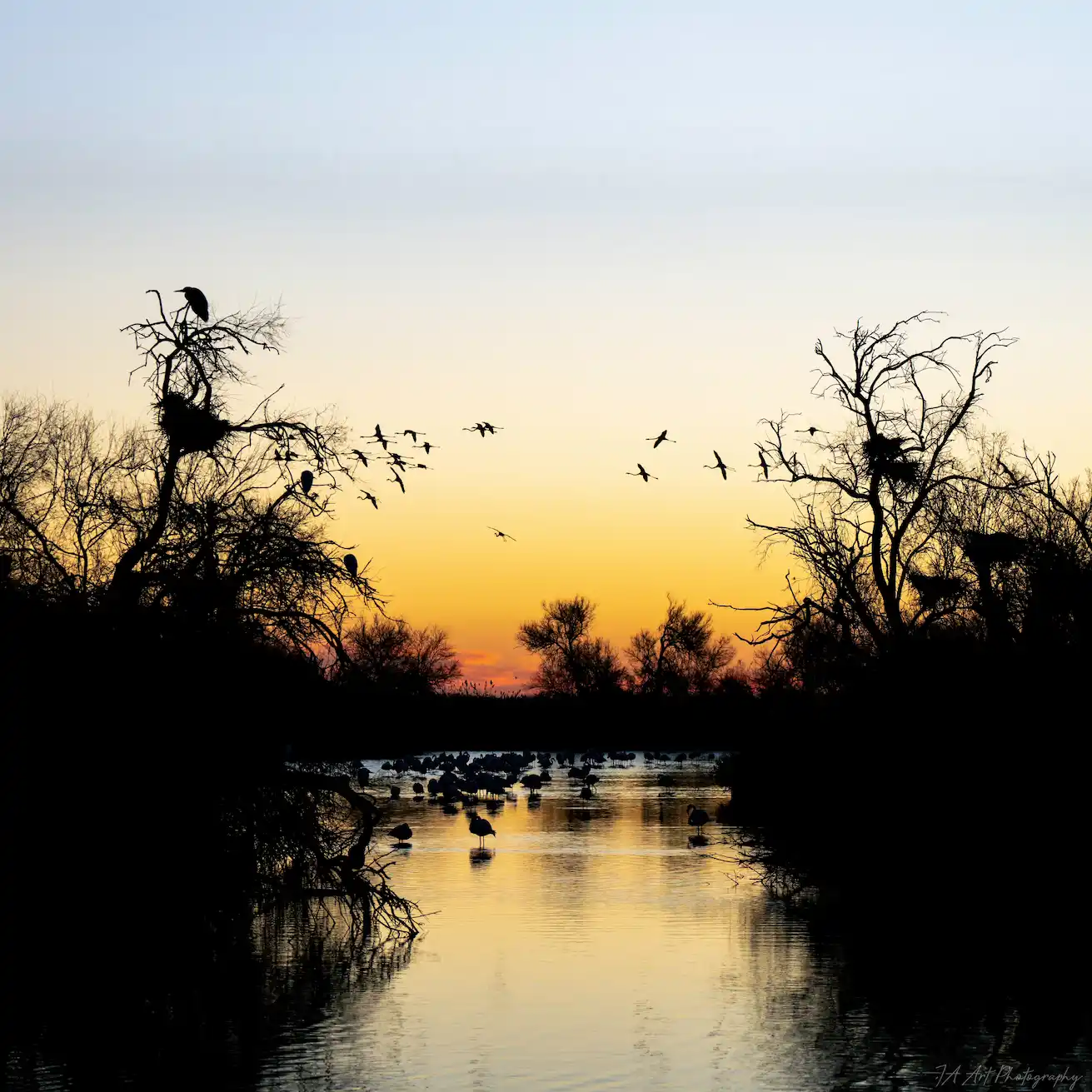 Coucher de soleil en Camargue